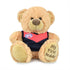 Melbourne Demons "My First Teddy"