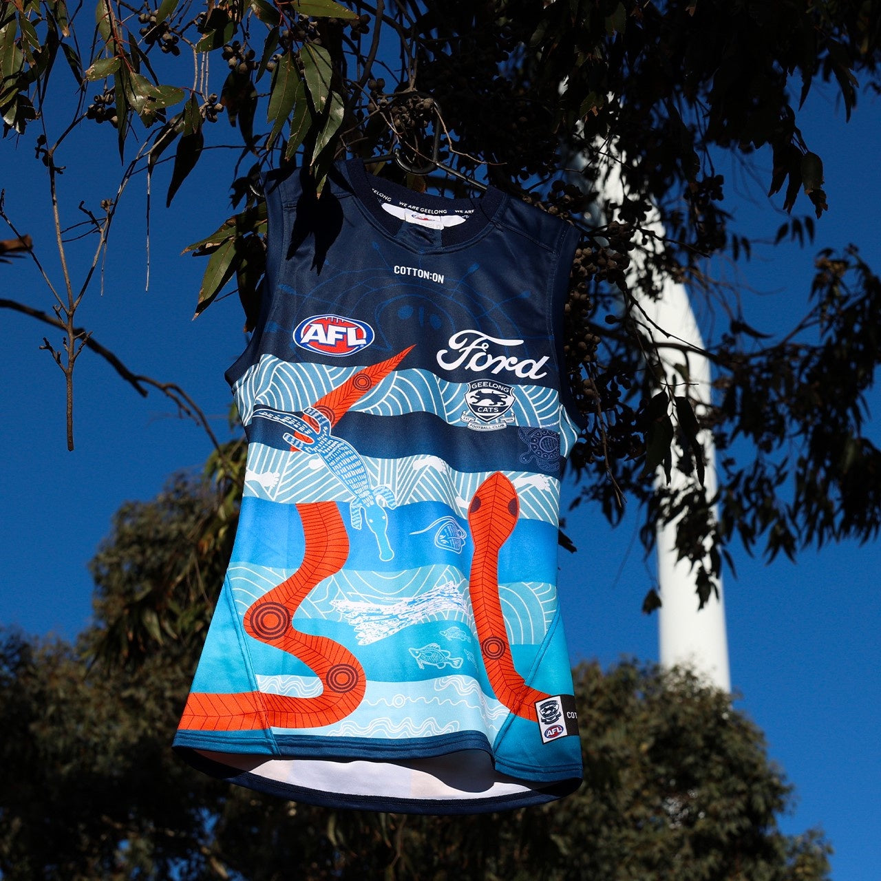 Geelong Cats Youth 2025 Indigenous Guernsey