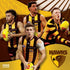 Hawthorn Hawks 2026 Calendar