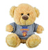 Brisbane Lions 2025 Premiership Bear