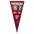 Brisbane Lions 2025 Premiers Pennant