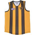 Hawthorn Hawks Adult Replicia  Guernsey