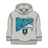 Port Adelaide Power Youth Hood