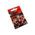 Essendon Bombers 2000 Premiership Cup Pin