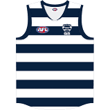 Geelong Cats Youth Replica Guernsey