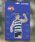 Geelong Cats Patrick Dangerfield Air Freshener