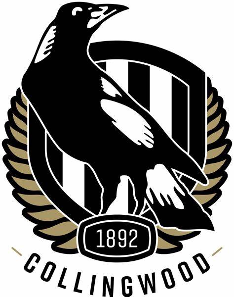 Collingwood Magpies Drinkware