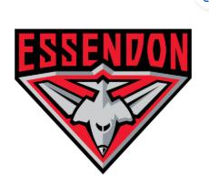 Essendon Bombers Drinkware