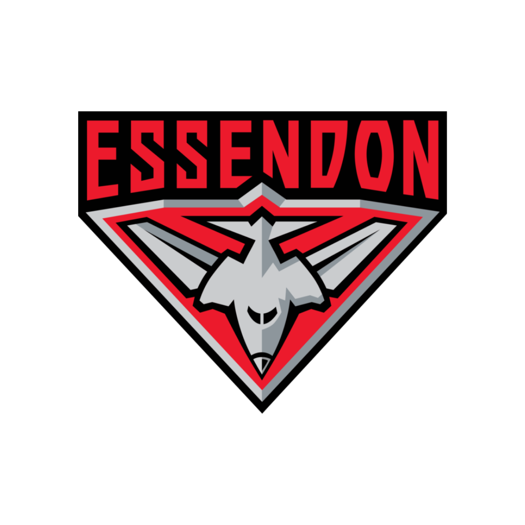 Essendon Bombers Bags