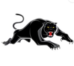 Penrith Panthers Jewellery