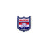 Western Bulldogs Retro Pin