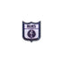 Carlton Blues Retro Pin
