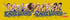 West Coast Eagles Legends Bar Runner