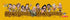 Hawthorn Hawks Legends Bar Runner