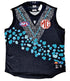 Port Adelaide Power 2025 Indigenous Guernsey