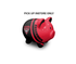 Essendon Bombers Piggy Bank