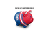 Western Bulldogs Piggy Bank