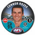 Port Adelaide Power 2025 Player Badges