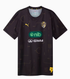 Richmond Tigers 2026 Training Tee