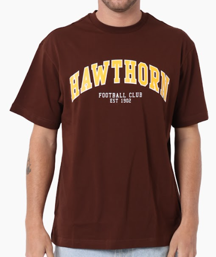 Hawthorn Hawks Essentials Tee