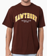 Hawthorn Hawks Essentials Tee
