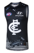 Carlton Blues 2026 Indigenous Guernsey