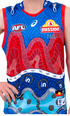 Western Bulldogs 2026 Indigenous Guernsey