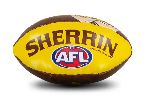 Hawthorn Hawks Sherrin Soft Football