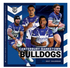Canterbury Bulldogs 2027 Calendar