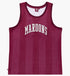 Queensland State Of Origin Mesh Singlet