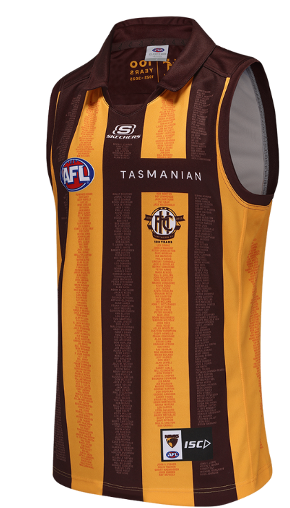 Hawthorn Hawks Centenary Guernsey