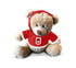 St George Illawarra Dragons Teddy Bear With Hood