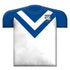 Canterbury Bulldogs Jersey Cushion