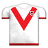 St George Illawarra Dragons Jersey Cushion