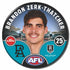 Port Adelaide Power 2025 Player Badges