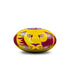 Brisbane Lions Team Mascot Sherrin Ball