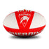 Sydney Swans Sherrin Club Football
