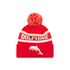 Dolphins New Era Beanie