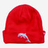 Dolphins Reversible Beanie