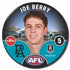 Port Adelaide Power 2025 Player Badges