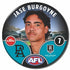 Port Adelaide Power 2025 Player Badges