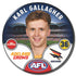 Adelaide Crows 2025 Player Badges