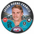 Port Adelaide Power 2025 Player Badges