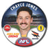 Adelaide Crows 2025 Player Badges