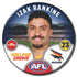 Adelaide Crows 2025 Player Badges