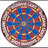 Brisbane Lions Dart Board