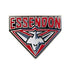Essendon Bombers Logo Pin
